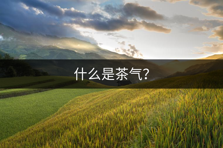 什么是茶氣？