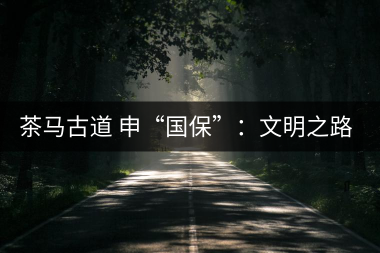 茶馬古道 申“國?！保何拿髦返脑侔l(fā)現(xiàn)