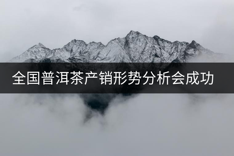 全國(guó)普洱茶產(chǎn)銷形勢(shì)分析會(huì)成功召開