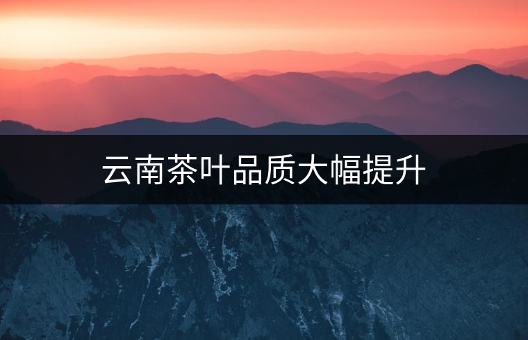 云南茶葉品質(zhì)大幅提升 云南茶葉品質(zhì)大幅提升