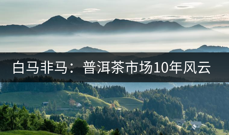 白馬非馬:普洱茶市場(chǎng)10年風(fēng)云錄 白馬非馬:普洱茶市場(chǎng)10年風(fēng)云錄