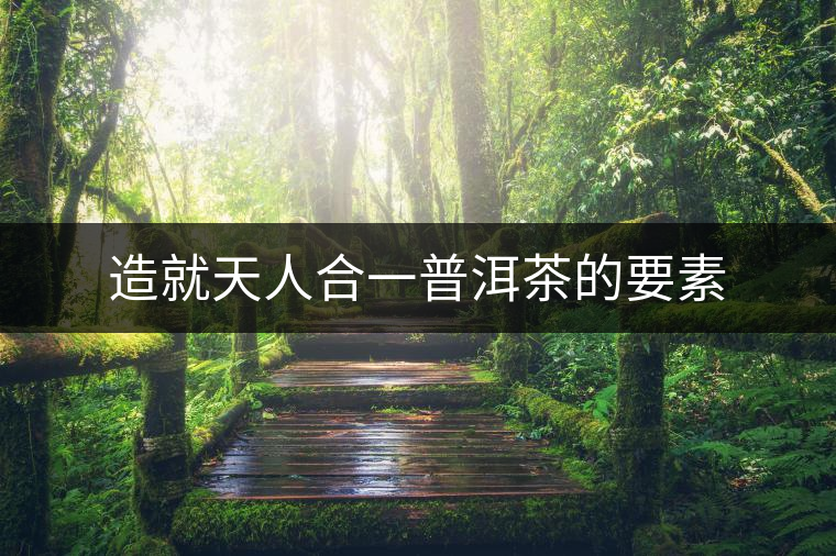 造就天人合一普洱茶的要素