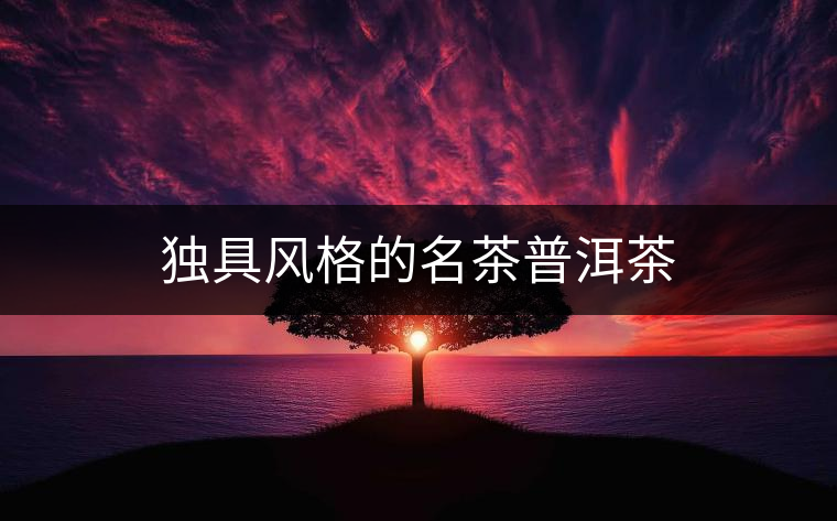 獨具風格的名茶普洱茶 獨具風格的名茶普洱茶