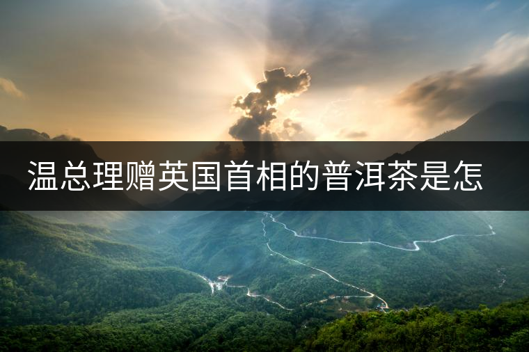 溫總理贈英國首相的普洱茶是怎么制作的？