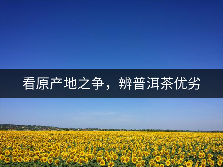 看原產(chǎn)地之爭，辨普洱茶優(yōu)劣