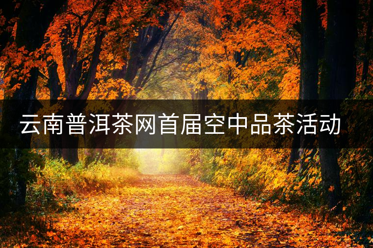 云南普洱茶網(wǎng)首屆空中品茶活動交流情況匯報(bào) 云南普洱茶網(wǎng)首屆空中品茶活動交流情況匯報(bào)