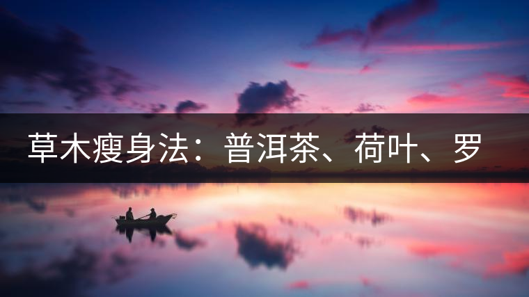 草木瘦身法：普洱茶、荷葉、羅漢果