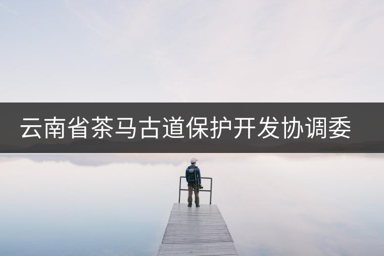 云南省茶馬古道保護開發(fā)協(xié)調委員會成立