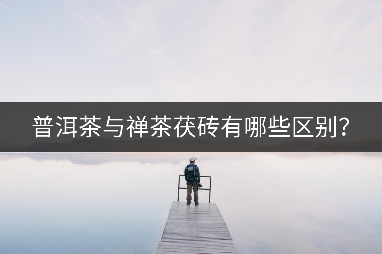 普洱茶與禪茶茯磚有哪些區(qū)別？