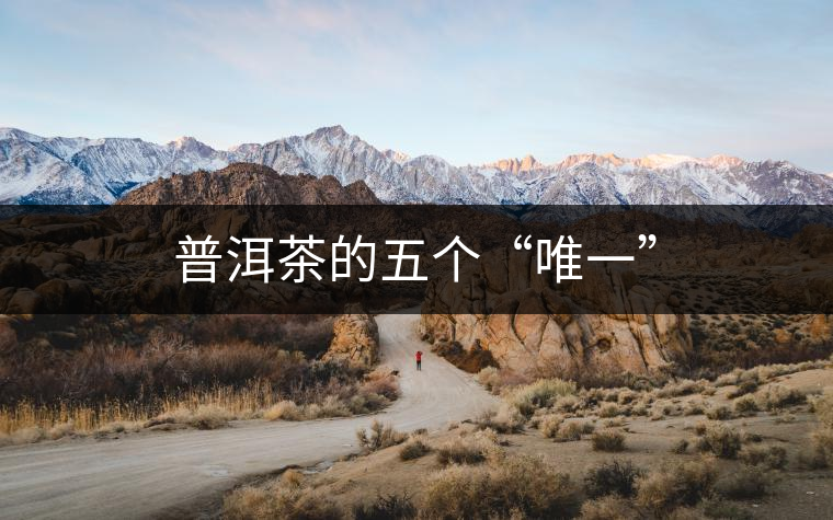 普洱茶的五個“唯一” 普洱茶的五個“唯一”
