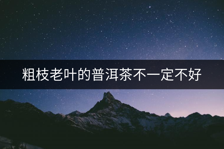 粗枝老葉的普洱茶不一定不好