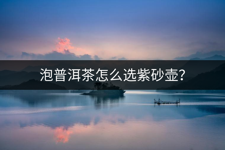 泡普洱茶怎么選紫砂壺？