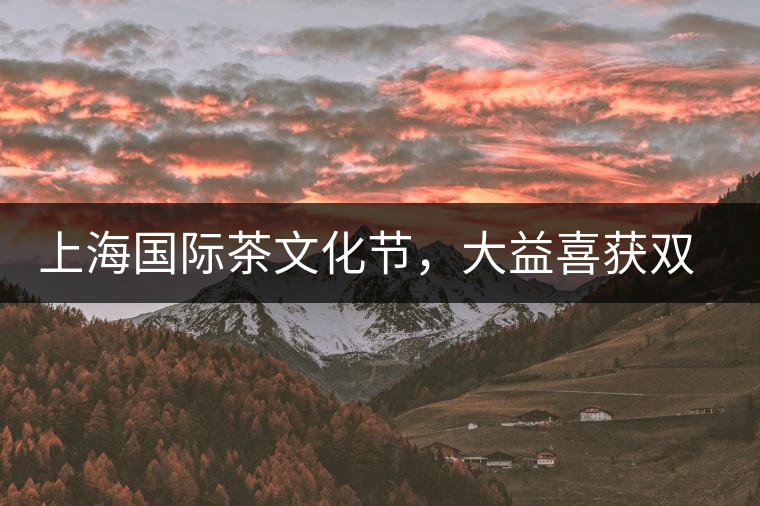 上海國(guó)際茶文化節(jié)，大益喜獲雙獎(jiǎng)
