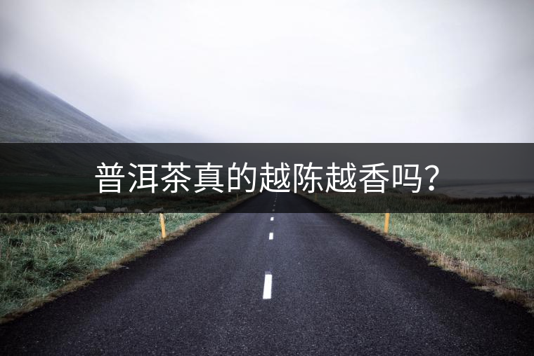 普洱茶真的越陳越香嗎？