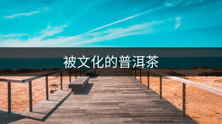 被文化的普洱茶