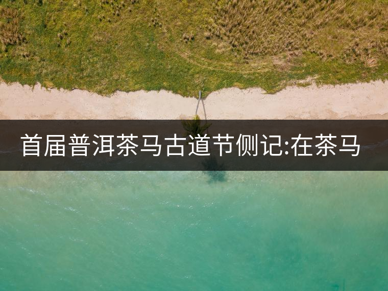 首屆普洱茶馬古道節(jié)側記:在茶馬古道起始的地方