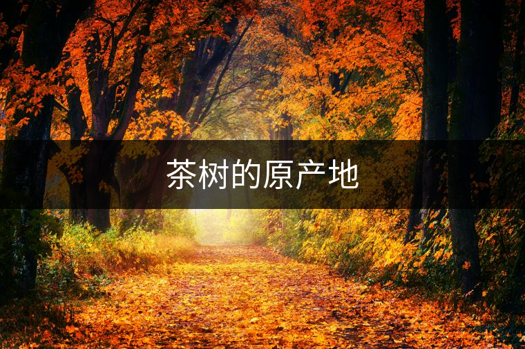 茶樹的原產(chǎn)地 茶樹的原產(chǎn)地