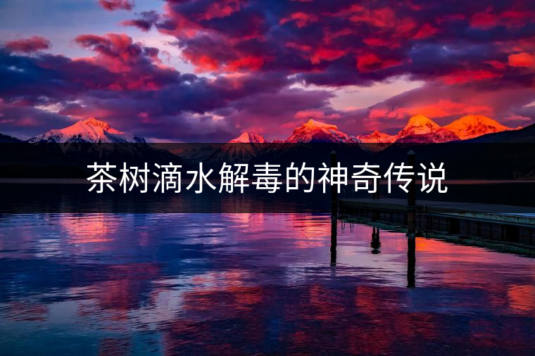 茶樹滴水解毒的神奇?zhèn)髡f 茶樹滴水解毒的神奇?zhèn)髡f