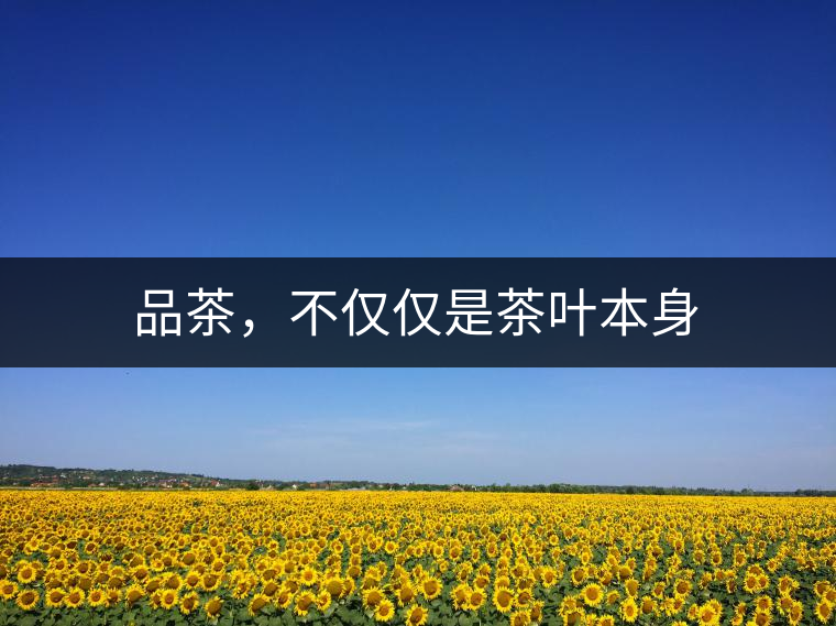 品茶，不僅僅是茶葉本身