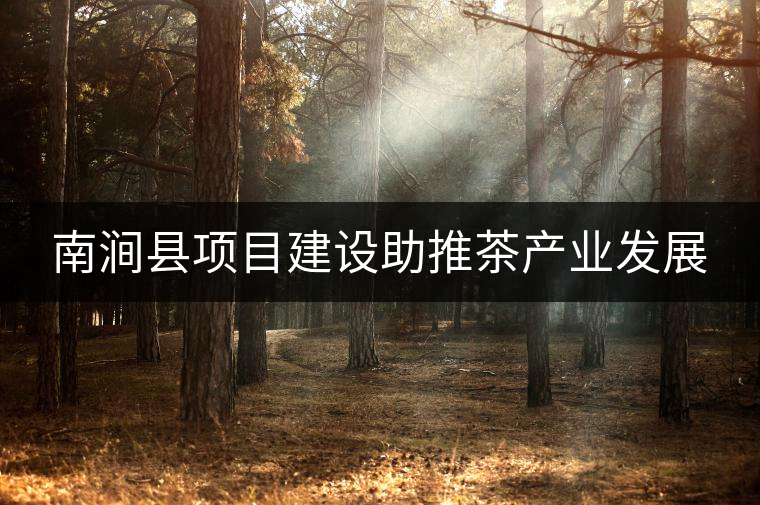 南澗縣項目建設(shè)助推茶產(chǎn)業(yè)發(fā)展 南澗縣項目建設(shè)助推茶產(chǎn)業(yè)發(fā)展