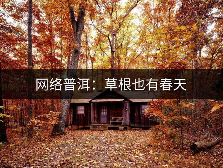 網(wǎng)絡(luò)普洱：草根也有春天