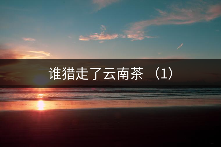 誰(shuí)獵走了云南茶 （1）