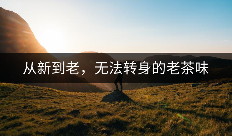 從新到老，無法轉(zhuǎn)身的老茶味