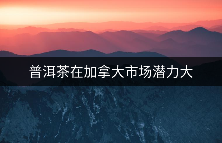 普洱茶在加拿大市場潛力大