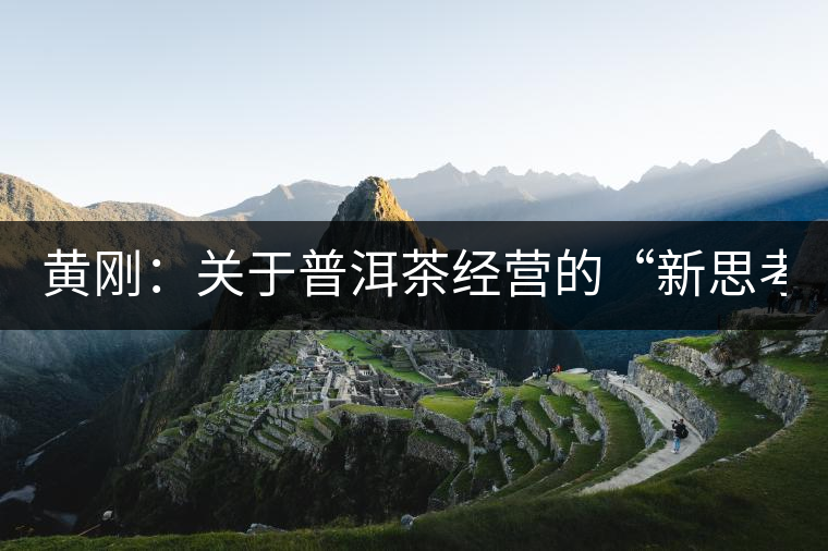黃剛：關(guān)于普洱茶經(jīng)營(yíng)的“新思考與新方法”（2014上/合集）