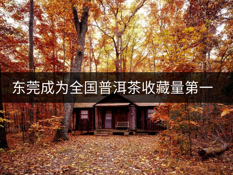 東莞成為全國普洱茶收藏量第一位的城市？