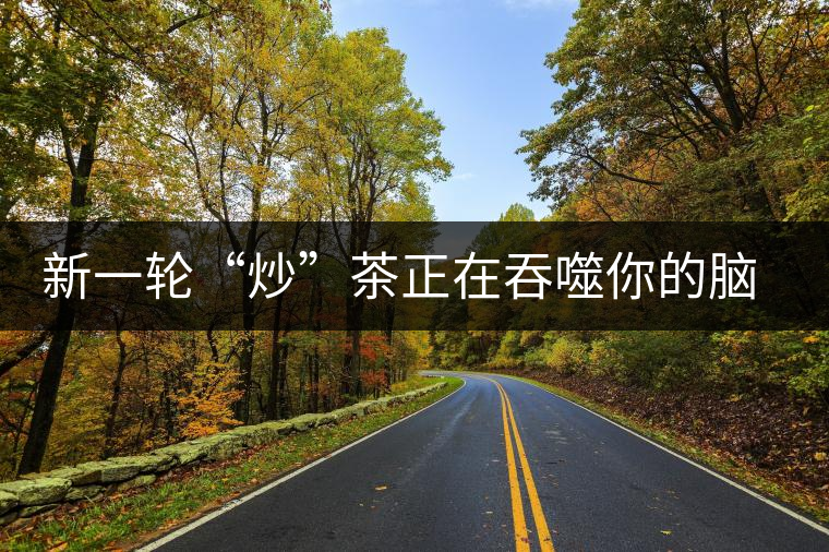 新一輪“炒”茶正在吞噬你的腦子，茶葉收藏不宜提倡