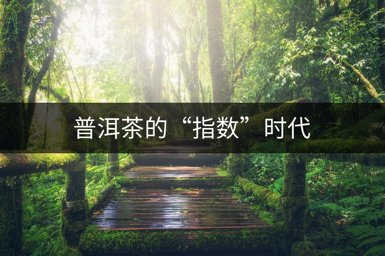 普洱茶的“指數(shù)”時代 普洱茶的“指數(shù)”時代
