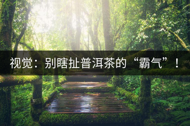 視覺：別瞎扯普洱茶的“霸氣”！偽大師！