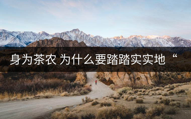 身為茶農(nóng) 為什么要踏踏實(shí)實(shí)地“放毒”！