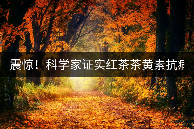 震驚！科學(xué)家證實(shí)紅茶茶黃素抗病毒新功能！