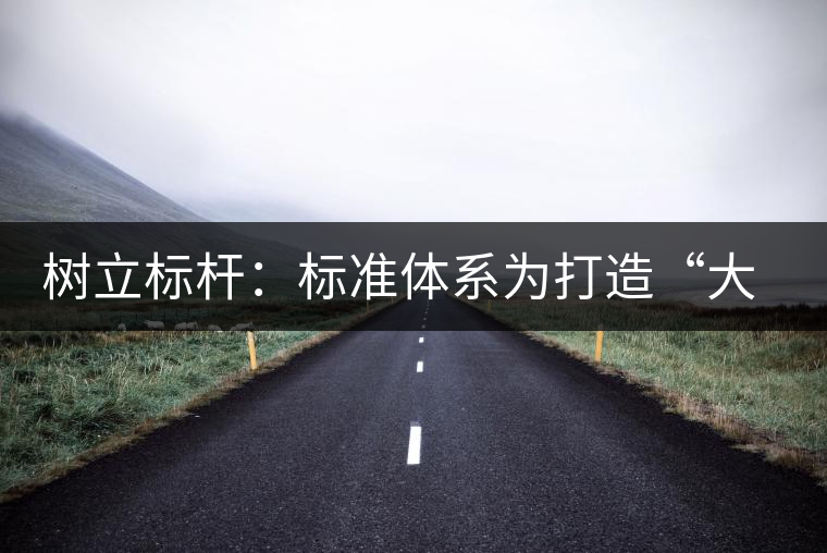 樹立標(biāo)桿：標(biāo)準(zhǔn)體系為打造“大景邁”品牌保駕護航