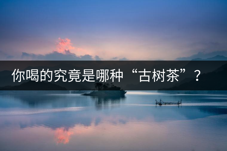 你喝的究竟是哪種“古樹茶”？（收茶必備知識(shí)）