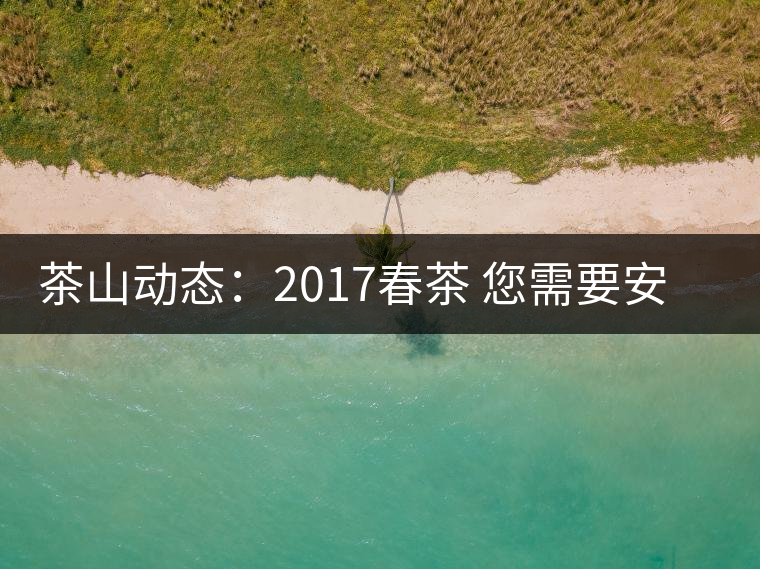 茶山動(dòng)態(tài):2017春茶 您需要安靜的等待 茶山動(dòng)態(tài):2017春茶 您需要安靜的等待