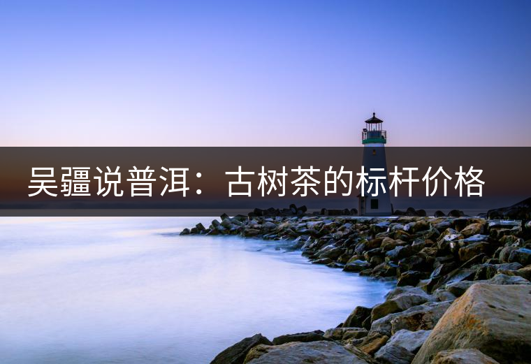 吳疆說普洱：古樹茶的標(biāo)桿價(jià)格在哪里？