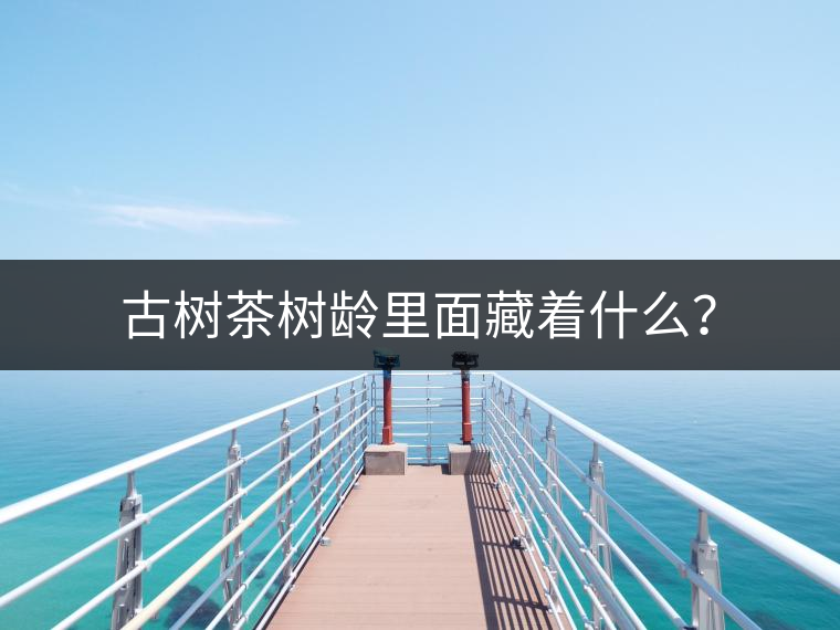 古樹茶樹齡里面藏著什么？