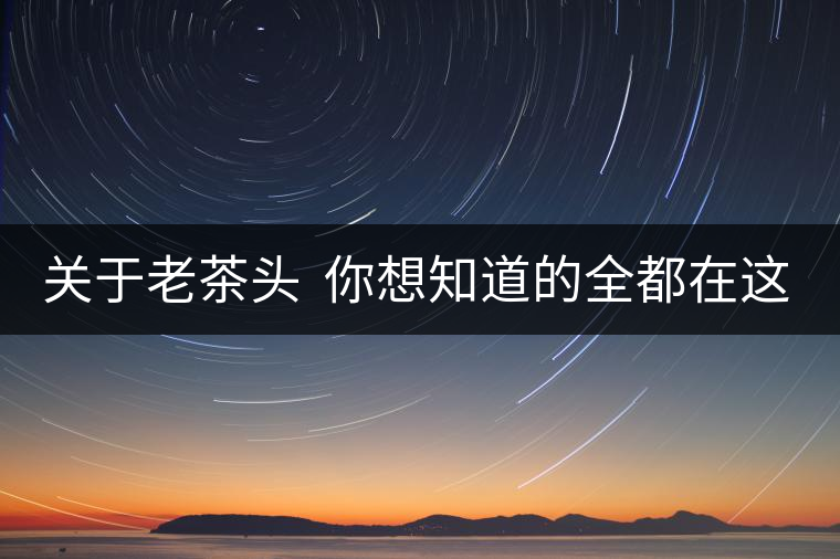 關(guān)于老茶頭  你想知道的全都在這兒啦！