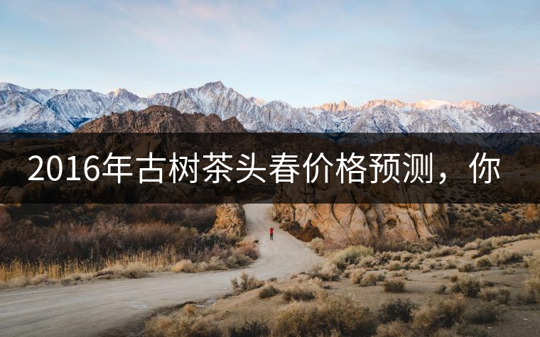 2016年古樹茶頭春價(jià)格預(yù)測，你怎么看？