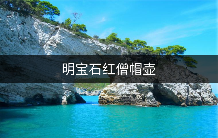 明寶石紅僧帽壺 明寶石紅僧帽壺