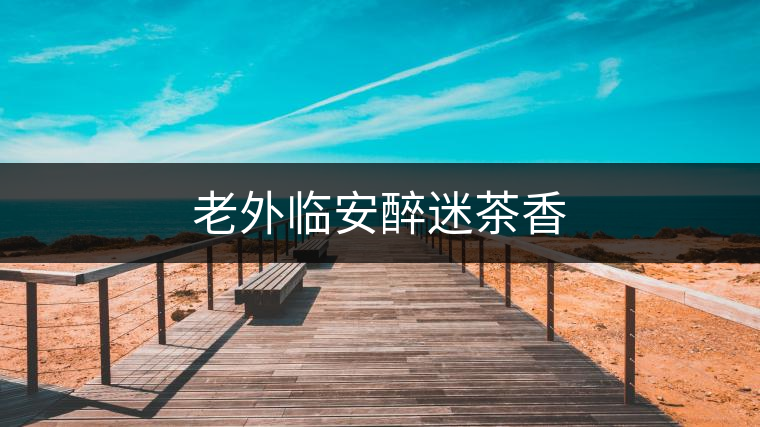 老外臨安醉迷茶香 老外臨安醉迷茶香