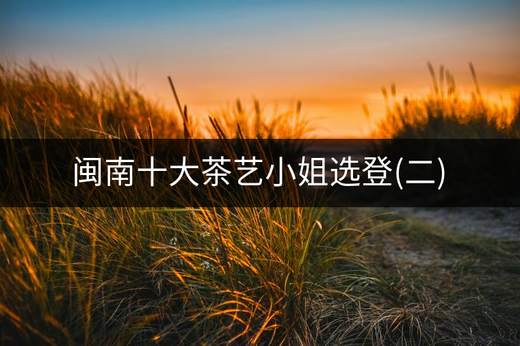 閩南十大茶藝小姐選登(二) 閩南十大茶藝小姐選登(二)