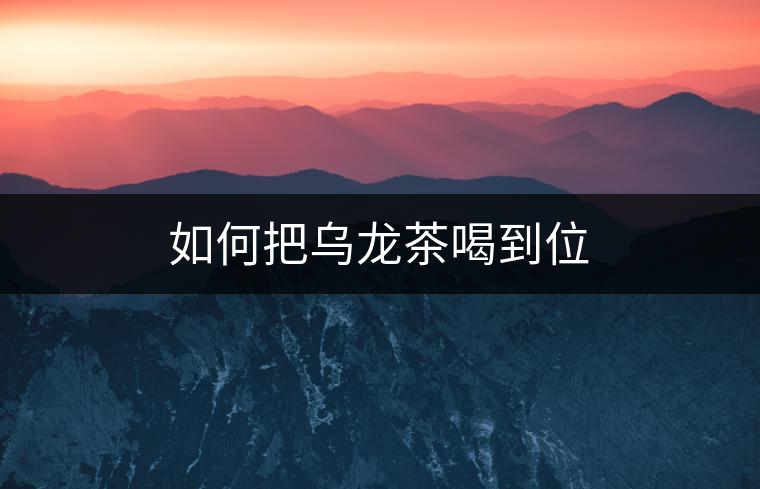 如何把烏龍茶喝到位 如何把烏龍茶喝到位