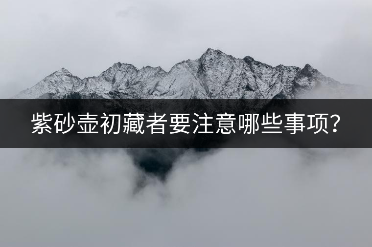 紫砂壺初藏者要注意哪些事項(xiàng)？
