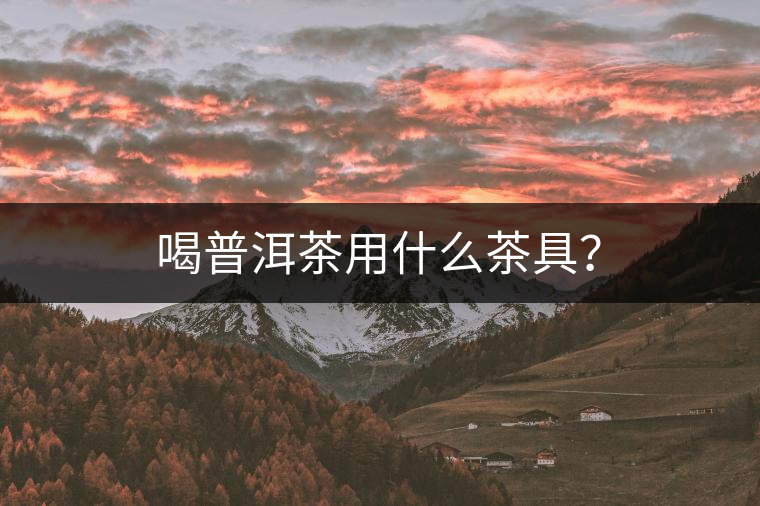 喝普洱茶用什么茶具？