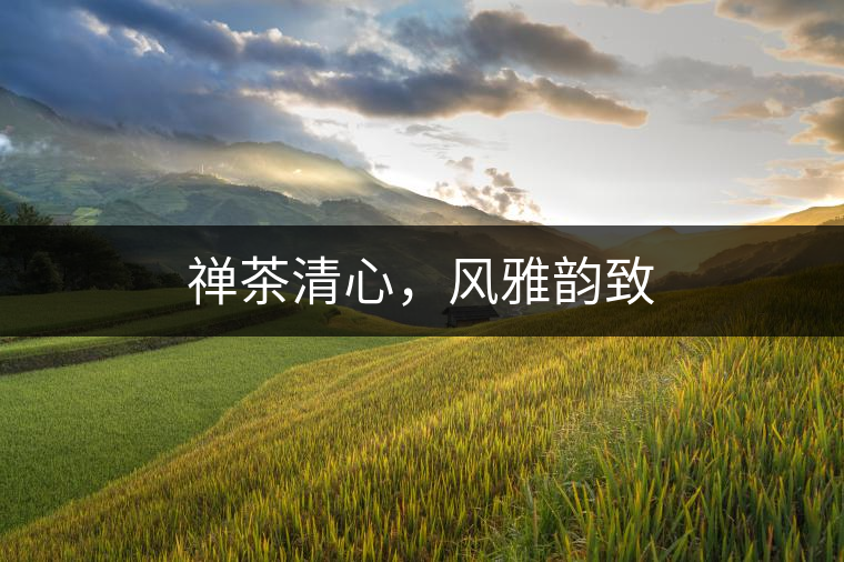 禪茶清心，風(fēng)雅韻致