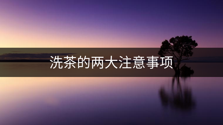 洗茶的兩大注意事項